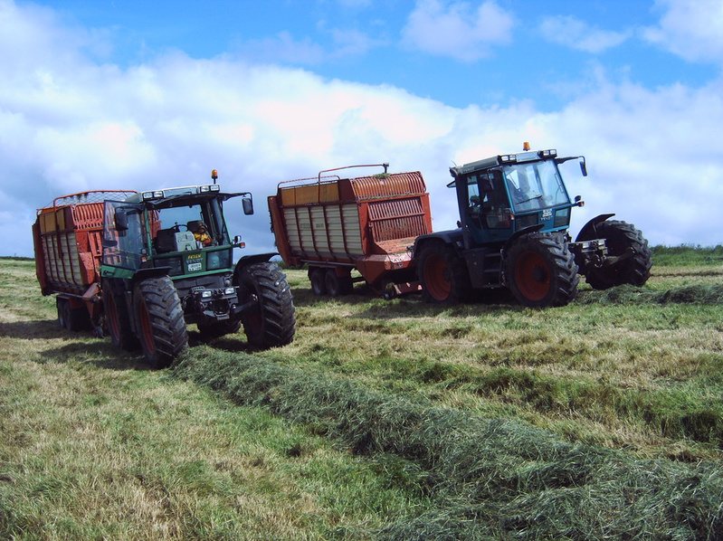 Ernte mit Trecker und Anhänger
