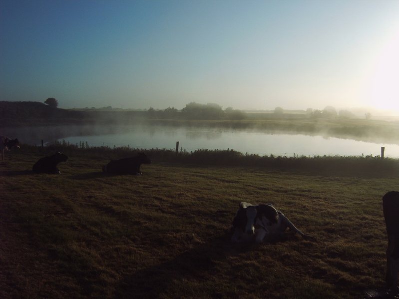 Morgennebel über dem Land