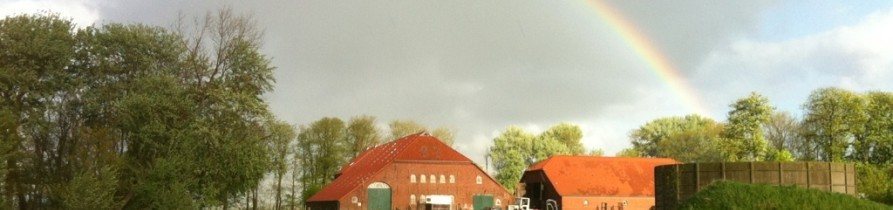 Regenbogen über den Hofgebäuden von PetersPlaats